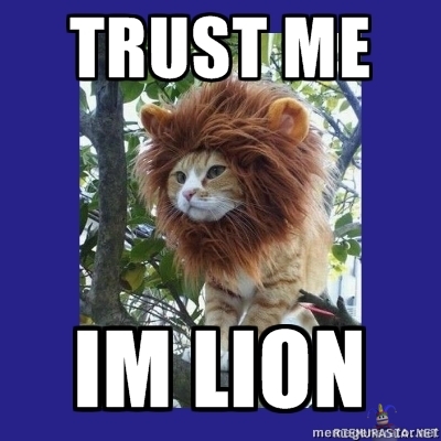 Trust me, Im lion - Cat disguised as lion