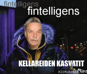 Fintelligens