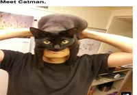 Catman