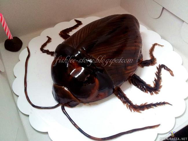 Torakka kakku - herkullisen näkönen kakku
