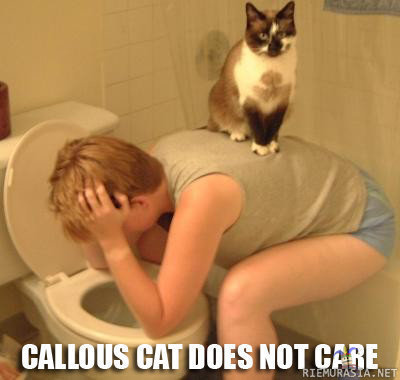 Kissaa ei kiinnosta - Myötätunto katossa.