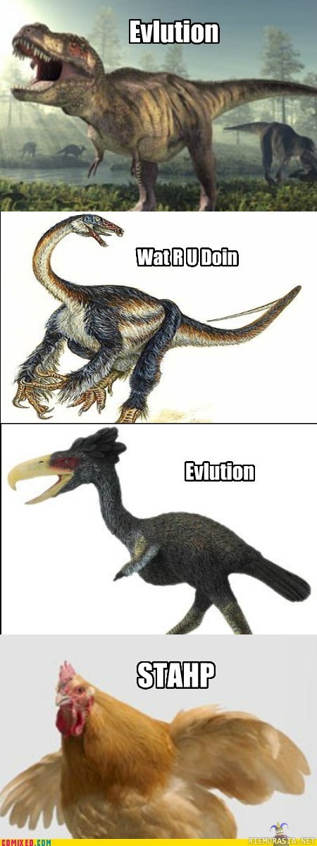 Evoluutio - Lopeta!