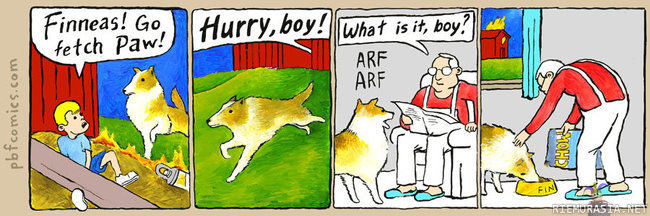 fiksu koira - ARF ARF