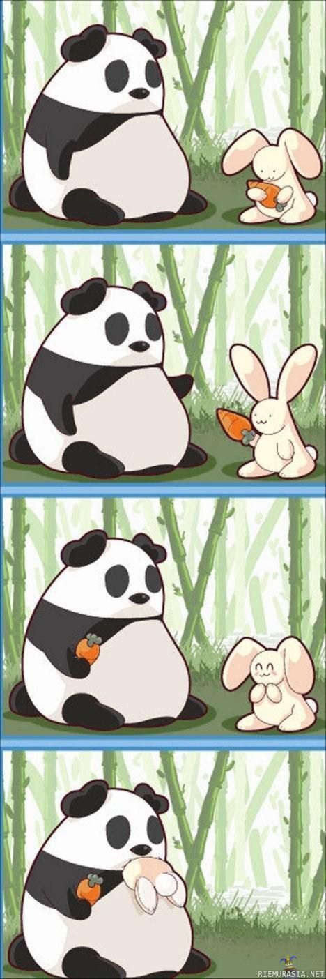 Panda - Omnomnom..