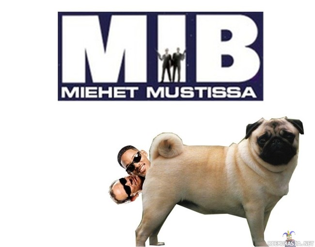 Men in black - IN da dogs ass