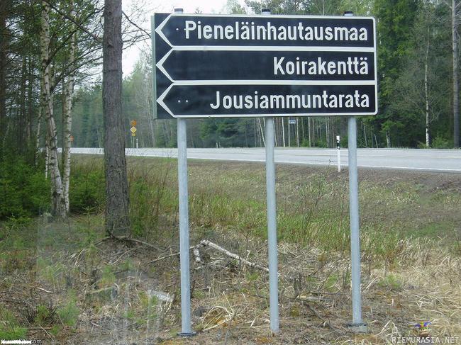 Koiranammuntaa