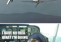 Koira lentää helikopteria