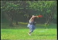 Shaoling Drunken Fist -Kung Fu