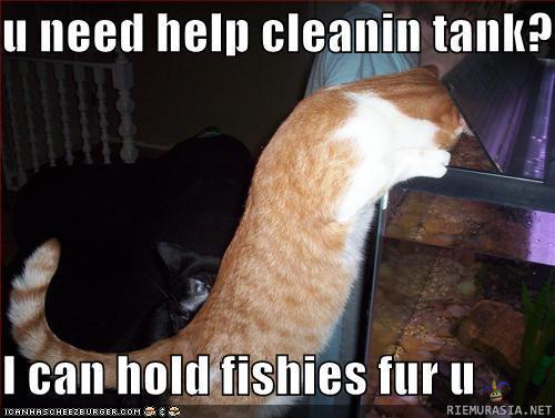 jos peset akvaariota oon kaverina - täältä löytyy kissa joka on varmasti apunasi kun peset akvaariota