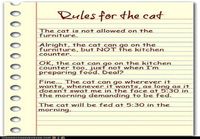 Rules for the cat