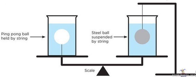 Pingpong Zingzong - Kumpaan puoleen vaaka kallistuu?