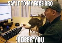 I deer you