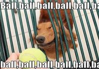 Ball!