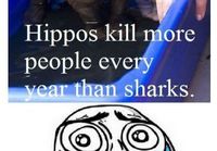 Hippo\'s