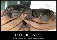 Accectable duckface
