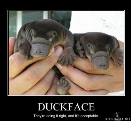 Accectable duckface