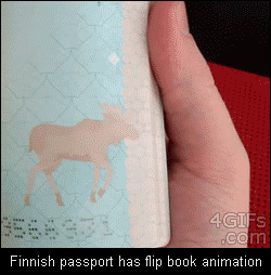 Suomalainen passi - täähän on iha kiva vaikka virkailijoita ajatellen