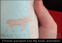 Suomalainen passi