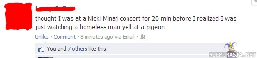 Nicki Minaj concert