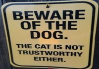 Beware of cat and dog