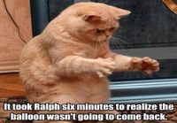 Poor Ralph...