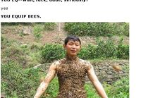 Equip bees