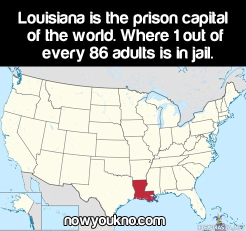 &#039;Murica - Louisianassa joka 86. aikuinen on vankilassa. Puhumattakaan siitä kuinka moni siellä on ollut.