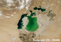 Araljärven kuivuminen