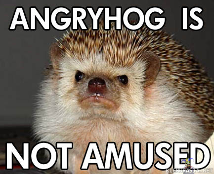 angryhog - is not amused...