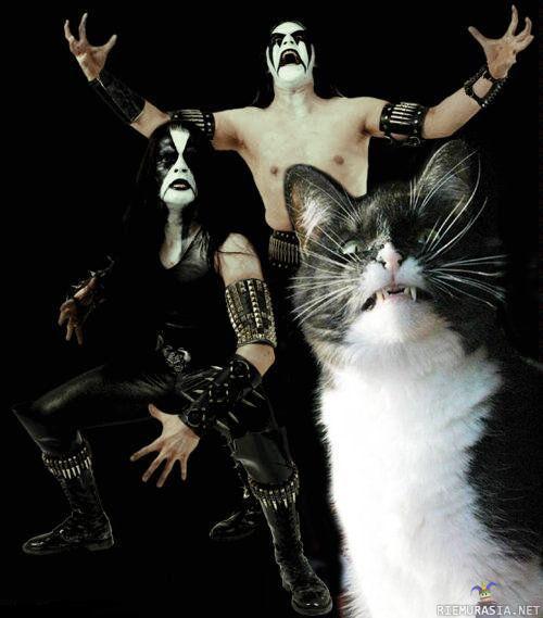 Black Metal Bändi - Olis kiva kuul to kissa ääni :D