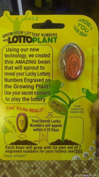 Kasvata lottonumero