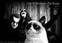 Cat Of Northern Darkness