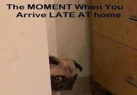 Kun tulet myöhään kotiin