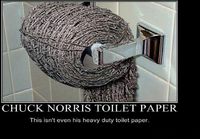 Chuck Norrisin vessapaperi