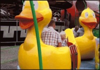Duck Ride