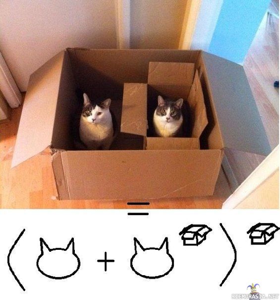Kissa laatikossa kissalaatikossa. - Matematiikkaa