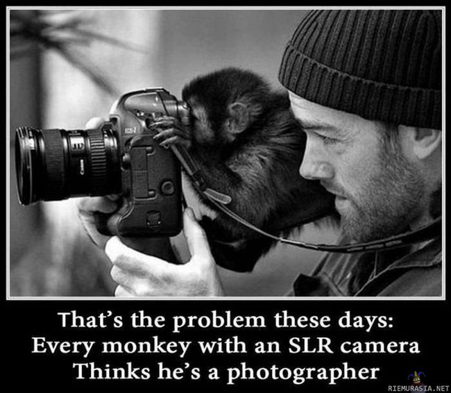 Järjestelmäkamera - Apinat ja niiden kalliit kamerat