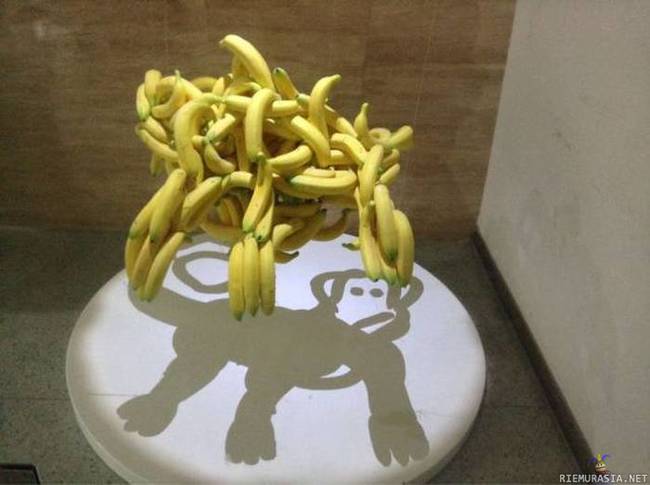 Taidetta banaaneista