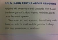 Karu totuus pingviineistä...