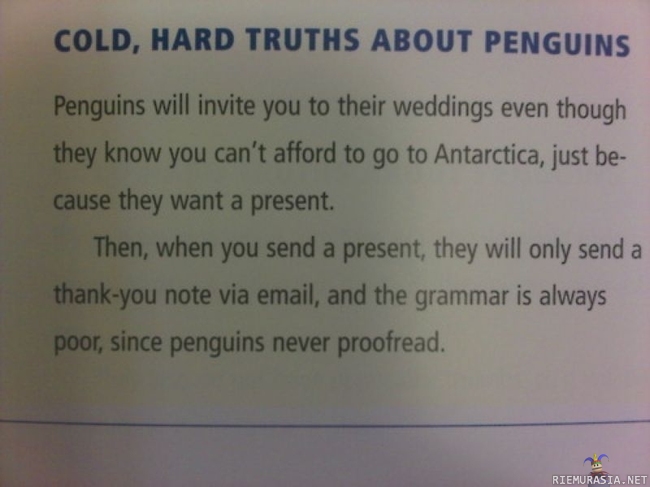 Karu totuus pingviineistä...