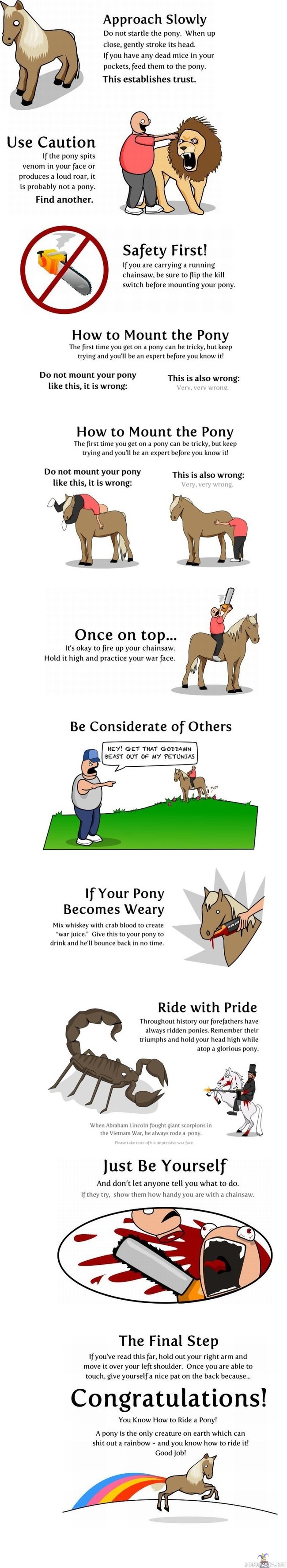 Miten ratsastetaan ponilla