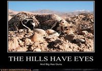 Hills have eyes