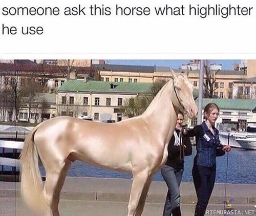 Kysykää tältä hevoselta - Mitä meikkejä se on käyttänyt