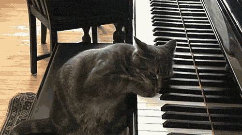 Kisse vetelee pianolla Two steps for helliä