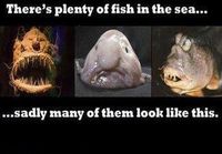 Don't worry, there are plenty of fish in the sea!