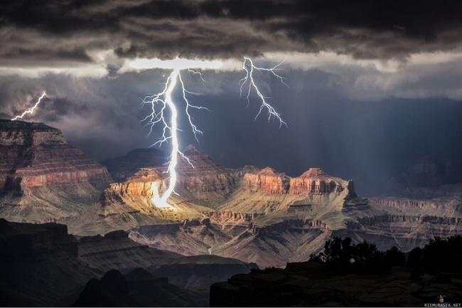 Salama Grand Canyonissa - Kuvaaja Rolf Maeder