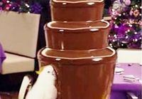 Chocolate fountain bird