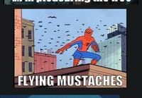the best of spiderman