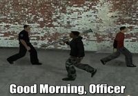 Good morning officer