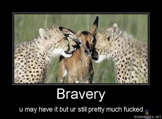 Bravery - hold it maybe they will go away